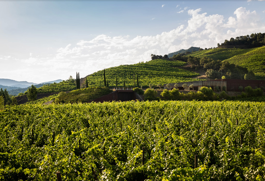 THE VINEYARDS OF PERINET